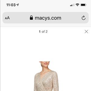 Alex Evenings Formal Gown